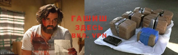 прущий лед Алзамай