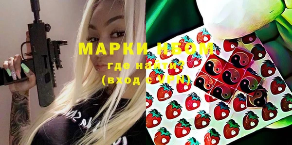 прущий лед Алзамай