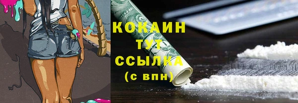 прущий лед Алзамай