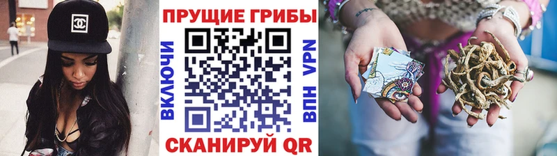 что такое наркотик  Сортавала  Псилоцибиновые грибы Magic Shrooms 